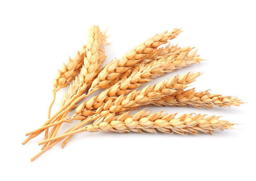 Fibra de trigo: Informação Nutricional