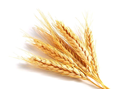 Germe de trigo: Informação Nutricional