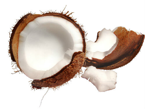 Coco da Baía (verde ou seco): Informação Nutricional
