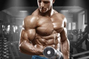Forte ou Musculoso. Qual é a Diferença?