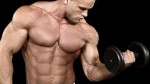Os músculos do seu corpo!