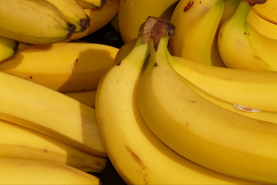 Banana frita (ouro, prata, d’água, da terra, etc) informação nutricional